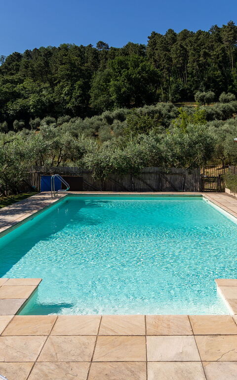 Villa Bellostare: all'aperto, Piscina
