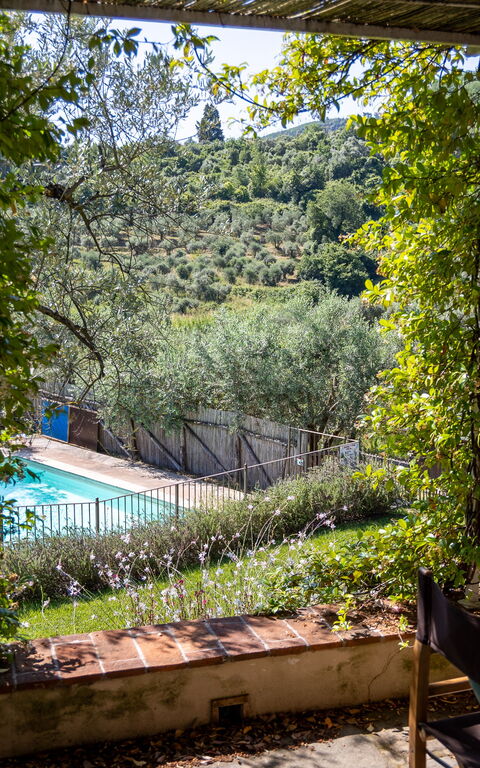 Villa Bellostare: all'aperto, Giardino, Piscina