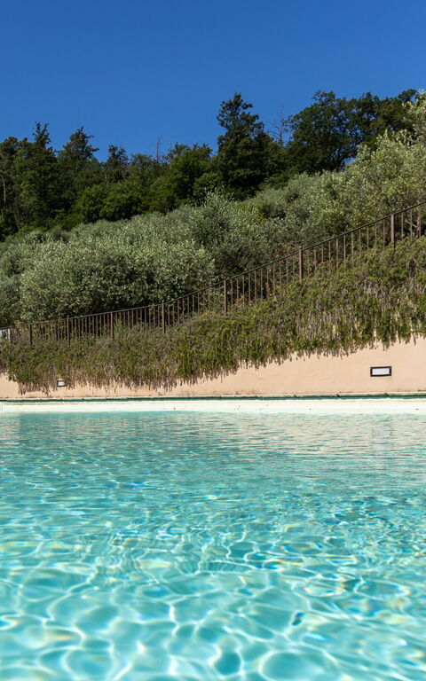 Villa Bellostare: all'aperto, Piscina
