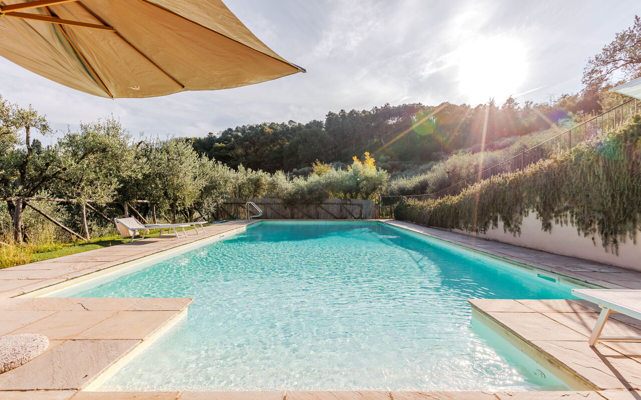 Villa Bellostare: all'aperto, Giardino, Piscina