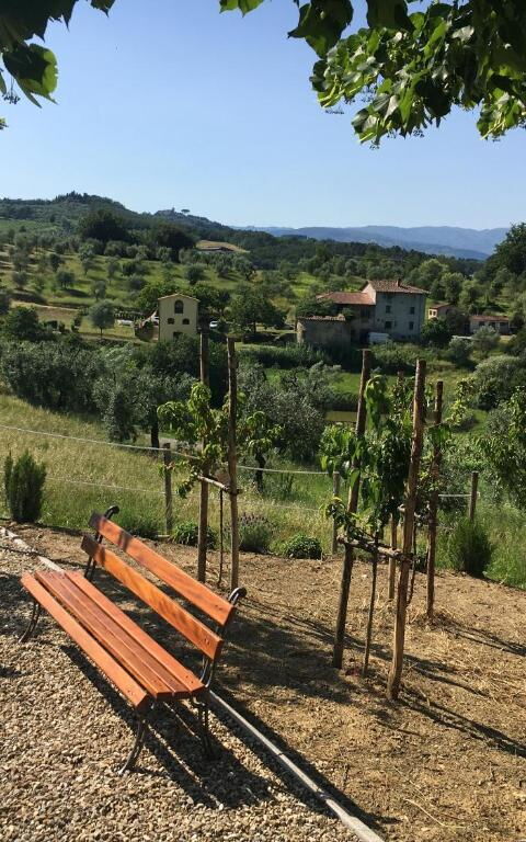 Bello Stare: all'aperto, Esterni