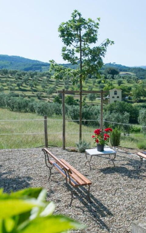 Bello Stare: all'aperto, Esterni