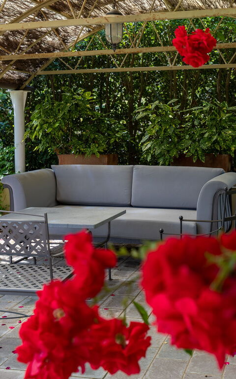 Bello Stare: all'aperto, Giardino