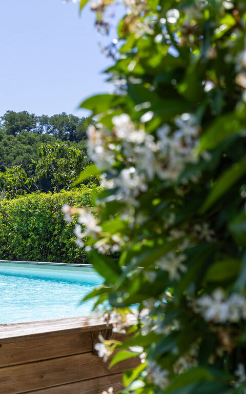 Bello Stare: all'aperto, Piscina
