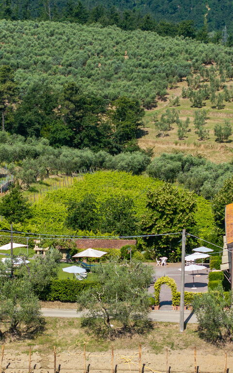 Bello Stare: all'aperto, Vista Panoramica