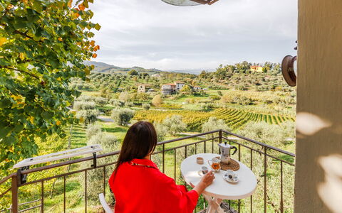 Alloggio Rossello: Balcone / Terrazza / Patio, Dettagli della stanza