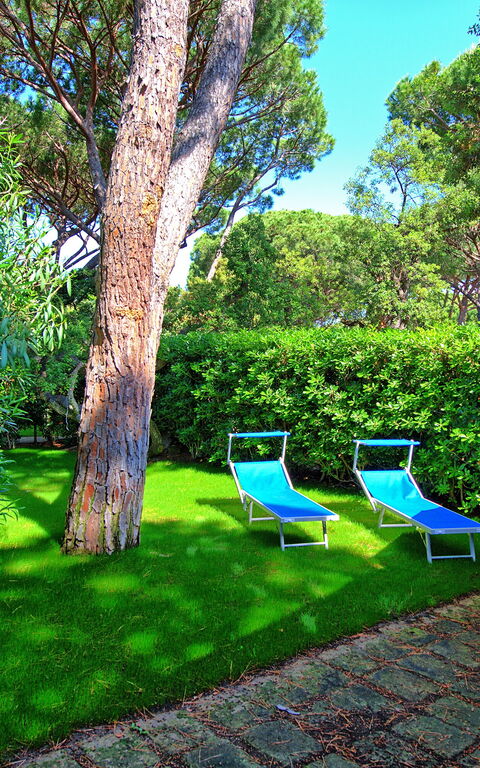 Le Dune: all'aperto, Esterni