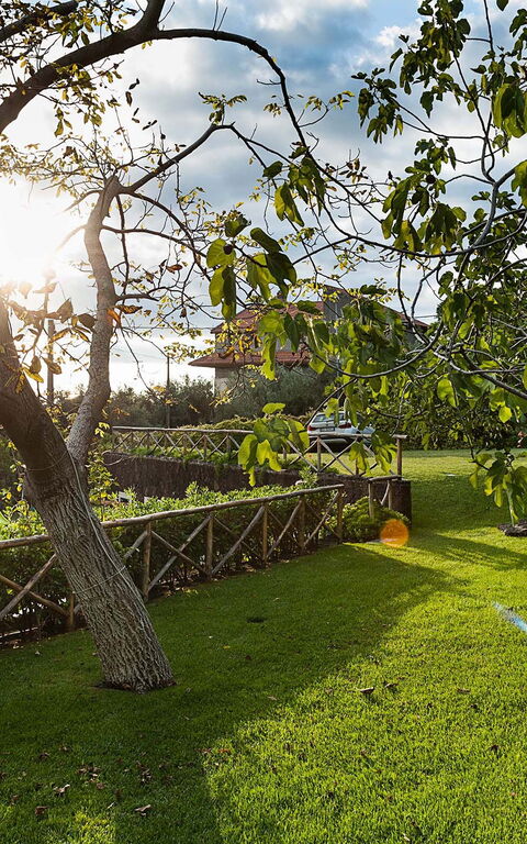 Villa Montefiore: Giardino