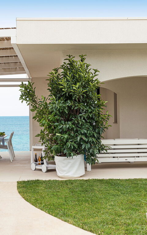 Villa Hermes: all'aperto, Esterni, Piscina