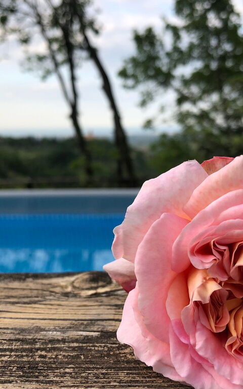 La Nocciola: all'aperto, Piscina