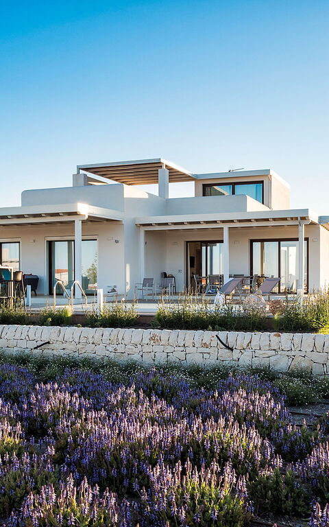 Villa San Lorenzo Ulivo: all'aperto, Esterni