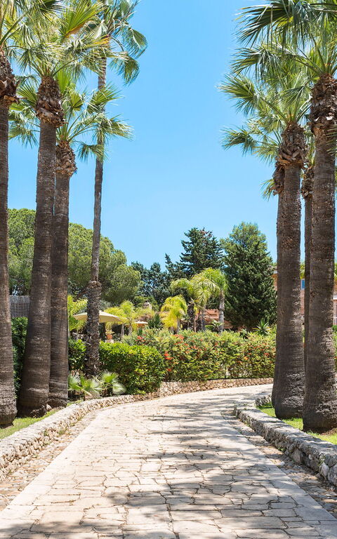 Villa Madda: all'aperto, Giardino