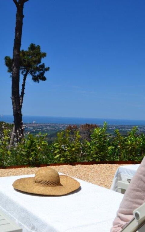 Casarosa Di Mariasole: all'aperto, Estate