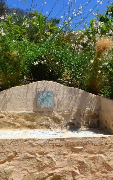 Casarosa Di Mariasole: all'aperto, Estate