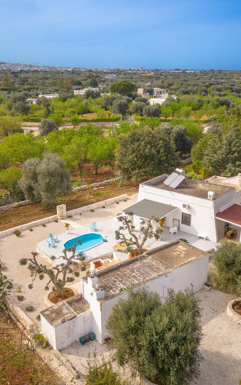 Villa Narkive: Esterni, Giardino