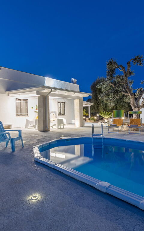 Villa Narkive: Piscina