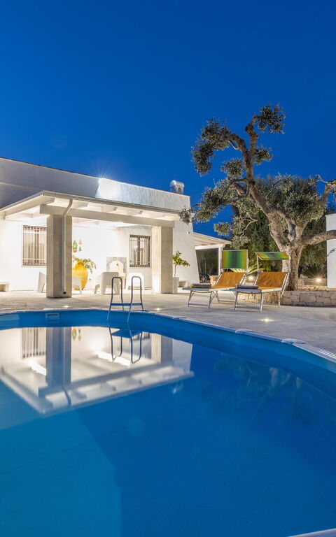 Villa Narkive: Piscina