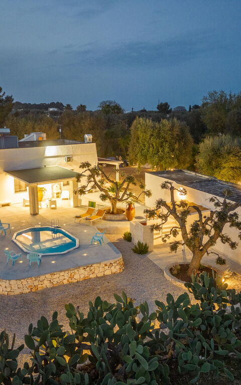 Villa Narkive: Esterni