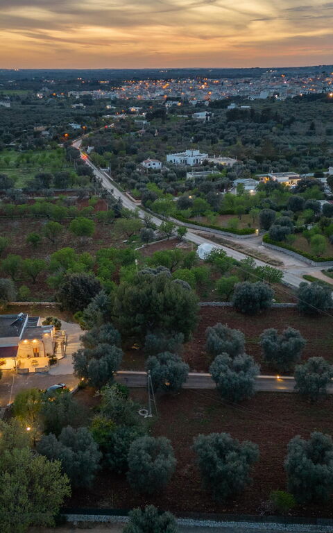 Villa Narkive: Esterni