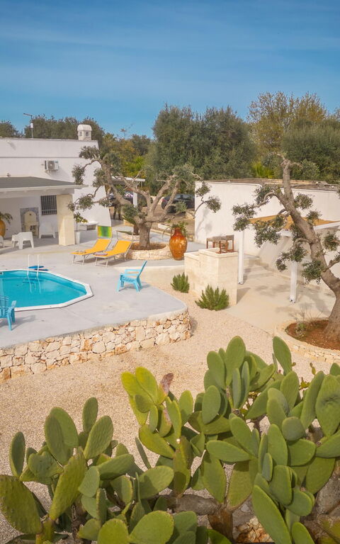 Villa Narkive: all'aperto, Entrata Principale, Giardino