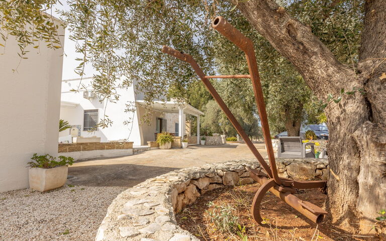 Villa Narkive: all'aperto, Esterni, Giardino