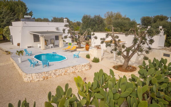 Villa Narkive: all'aperto, Entrata Principale, Giardino