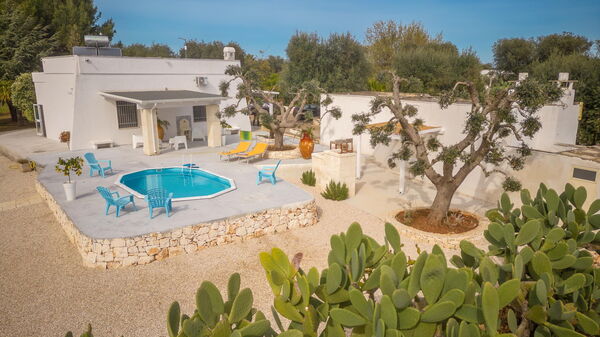 Villa Narkive: all'aperto, Entrata Principale, Giardino