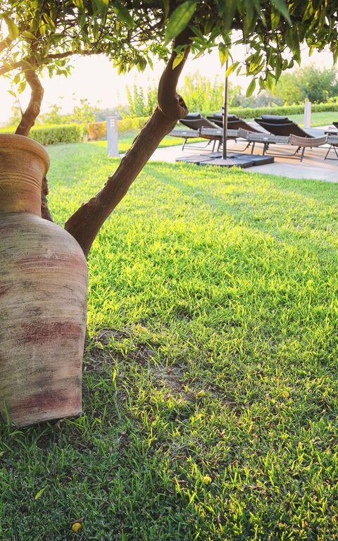 Villa Malu: all'aperto, Esterni, Giardino