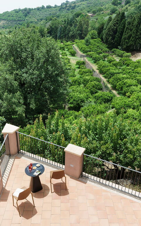 Tenuta Della Contea: all'aperto, Esterni, Giardino