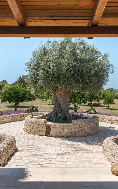 Pigna Blue: all'aperto, Esterni