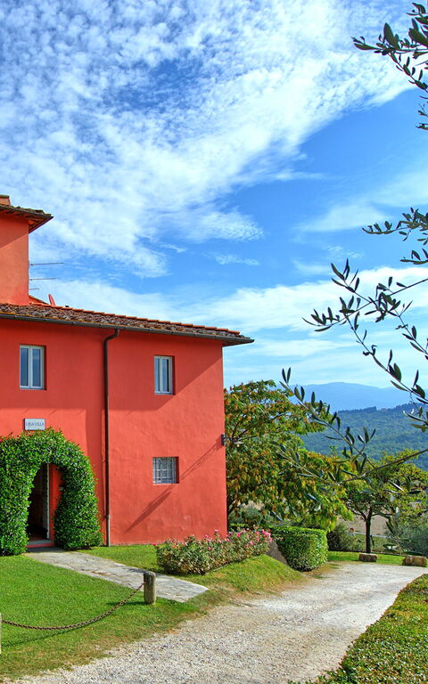 Villa Cona: all'aperto, Esterni, Giardino