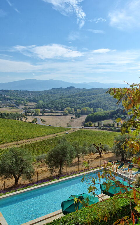 Villa Cona: all'aperto, Esterni, Giardino, Piscina