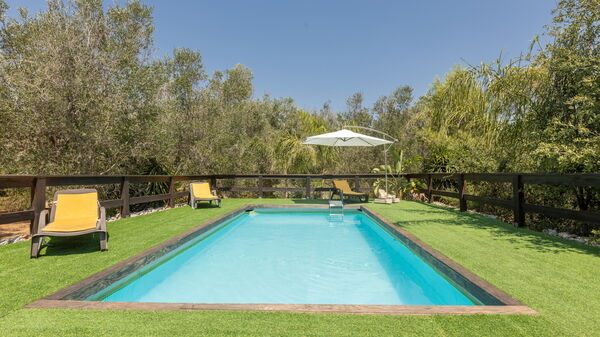 Villa Astrea: all'aperto, Esterni, Giardino, Piscina