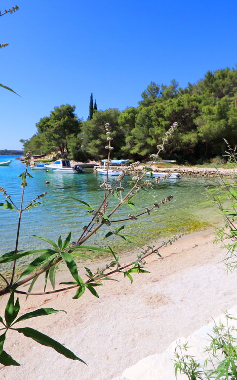 Villa Emerald: Attività, Vista Panoramica