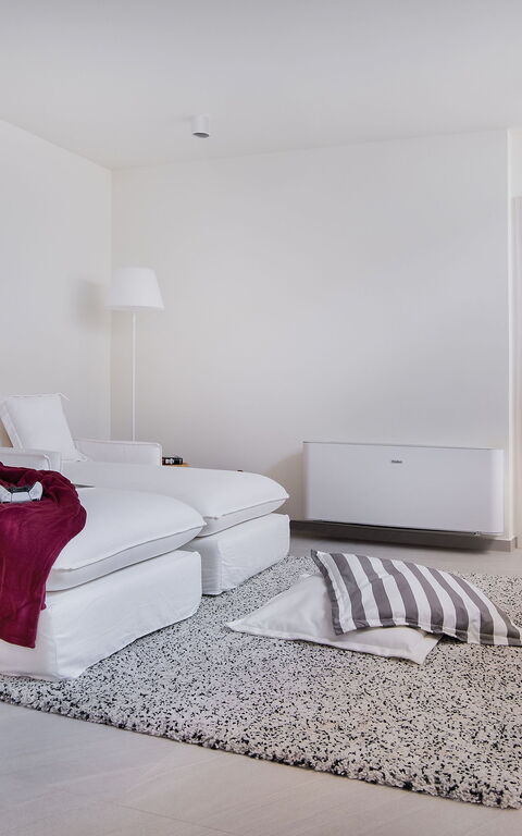 Villa Elektra: Stanza Comune