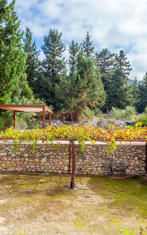 Villa Giorgos: all'aperto, Esterni, Giardino