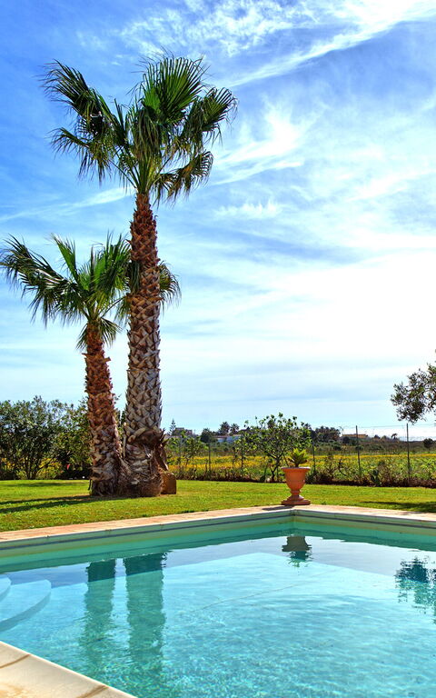 Villa Casale: all'aperto, Esterni, Giardino, Piscina