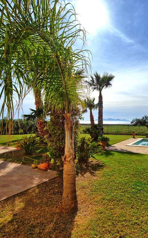 Villa Casale: all'aperto, Esterni, Giardino, Piscina