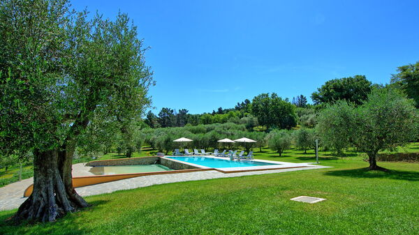 Villa Acquaviva: all'aperto, Estate, Giardino, Piscina