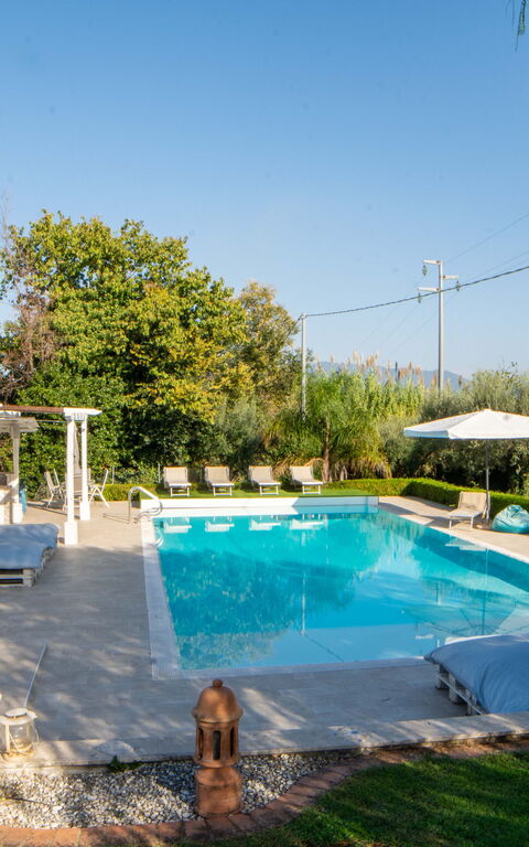 Villa Antici: all'aperto, Esterni, Piscina