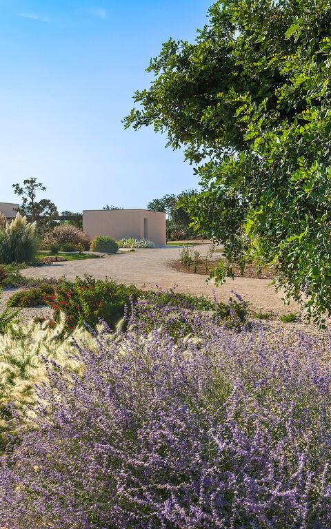 Villa Passo Salina: Giardino