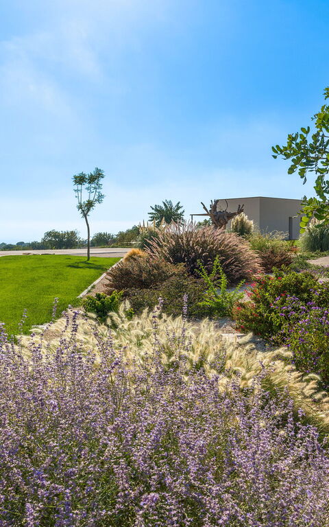 Villa Passo Salina: Giardino