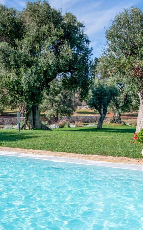 Tenuta Palù: Giardino, Piscina