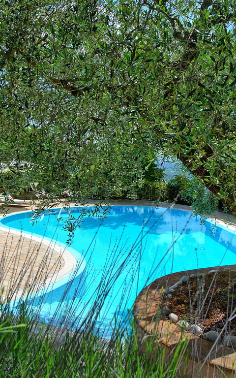 Villa Paradiso: Giardino, Piscina
