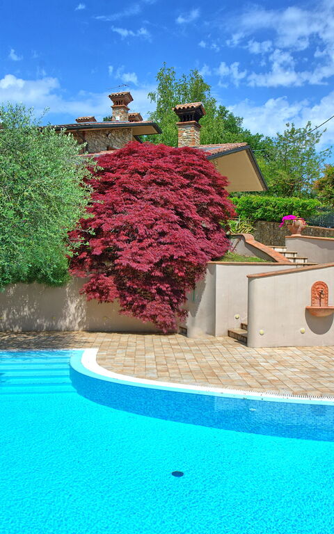 Villa Paradiso: Esterni, Piscina