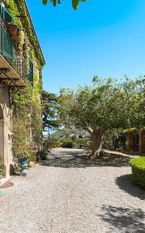 Villa Giuffrè: all'aperto, Esterni