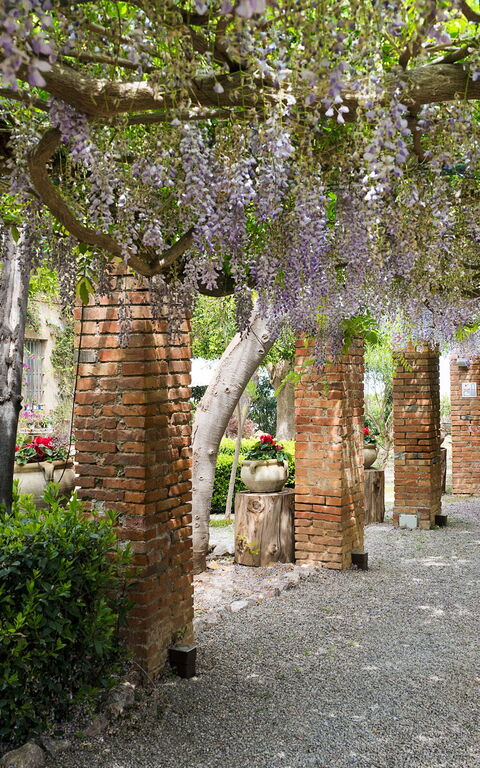 Villa Giuffrè: all'aperto, Esterni