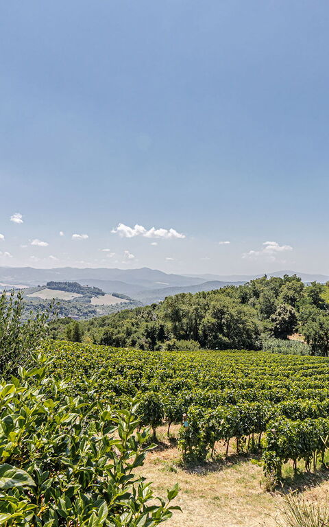 Chateau La Siroque: all'aperto, Esterni, Vista Panoramica