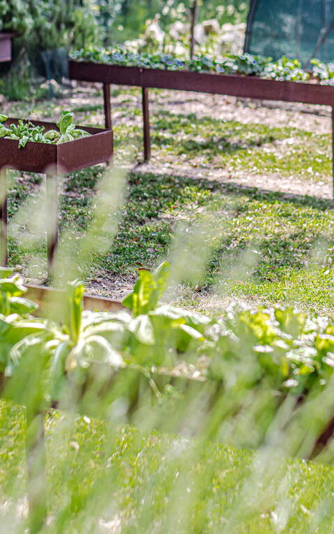 Chateau La Siroque: all'aperto, Esterni, Giardino