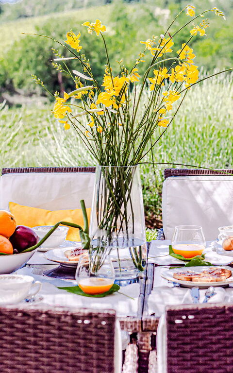 Chateau La Siroque: all'aperto, Esterni